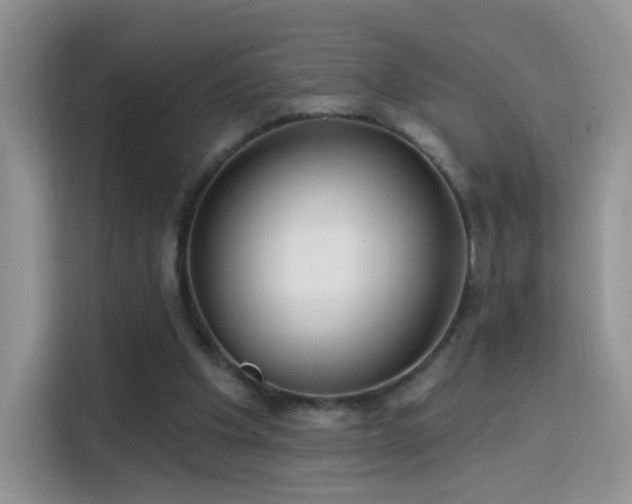 X0000115770201200911201225