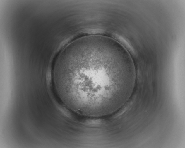 X0000115770202200911201225