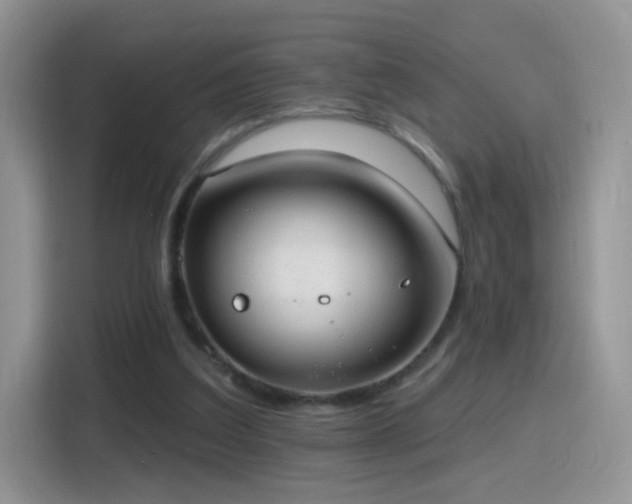 X0000115770203200911201225