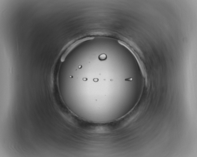 X0000115770204200911201225
