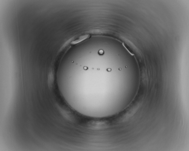 X0000115770208200911201225