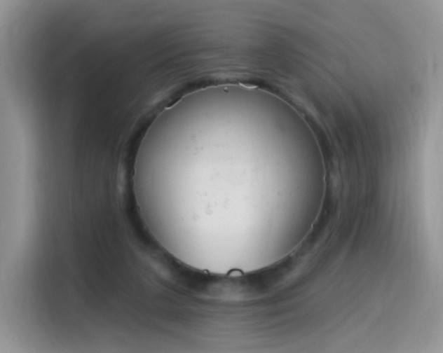 X0000115770211200911201225