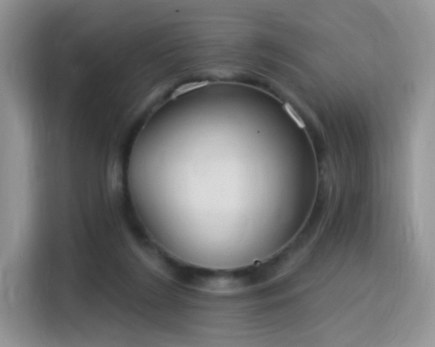 X0000115770212200911201225