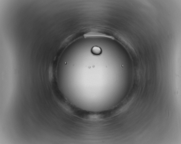 X0000115770216200911201225