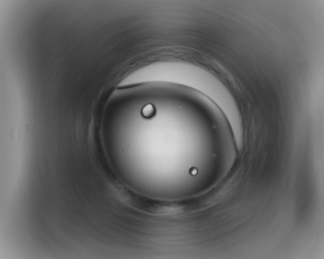 X0000115770217200911201225