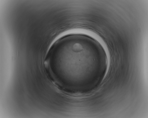X0000115770219200911201225