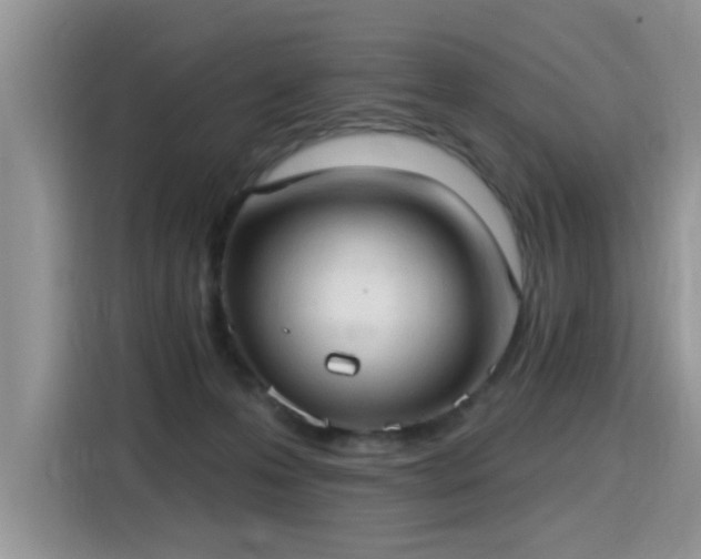 X0000115770223200911201225