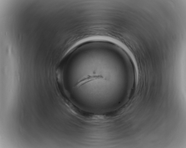 X0000115770227200911201225