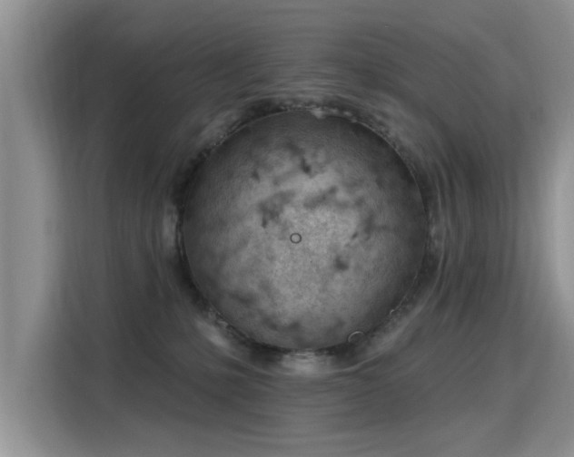 X0000115770231200911201225