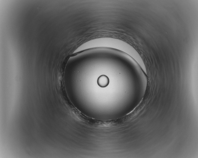 X0000115770235200911201225