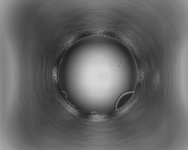 X0000115770238200911201225