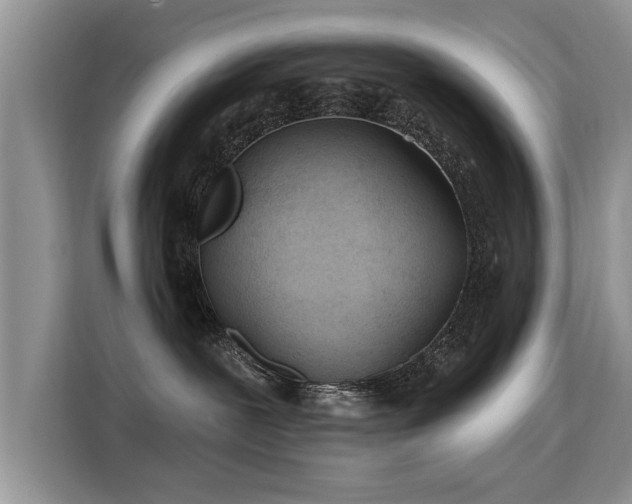X0000115770239200911201225