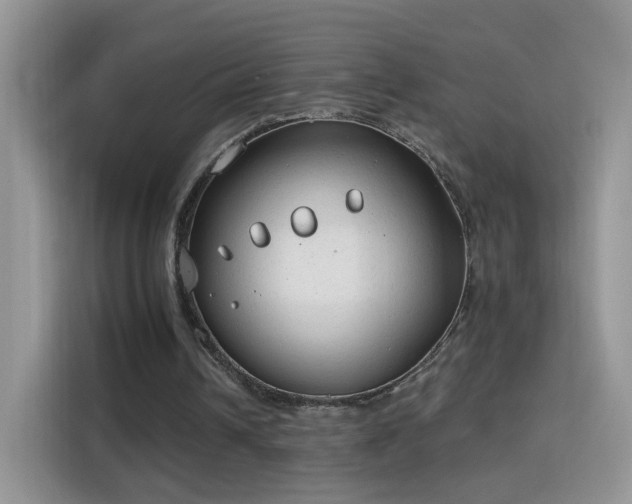 X0000115770242200911201224