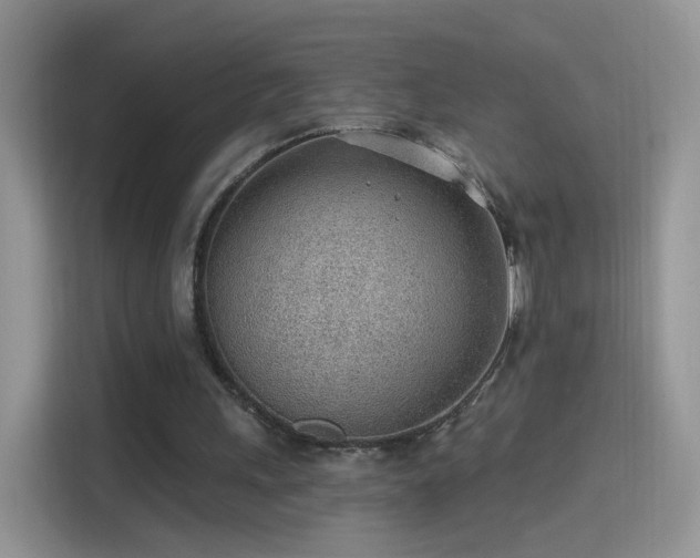 X0000115770243200911201224