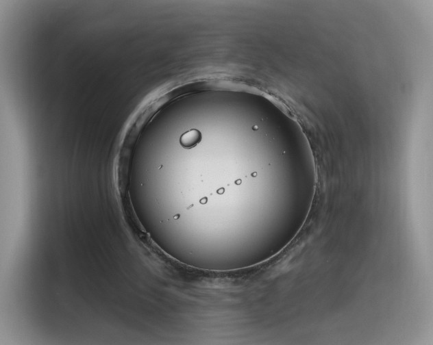 X0000115770244200911201224