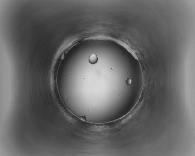 X0000115770245200911201224