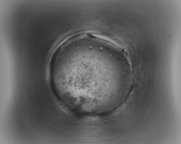 X0000115770247200911201224