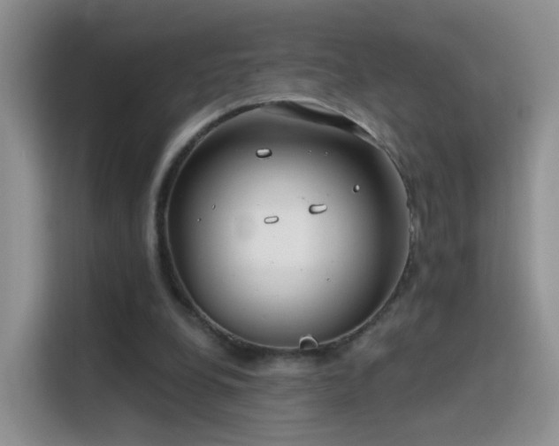 X0000115770248200911201224