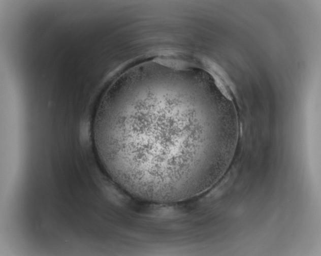 X0000115770249200911201224