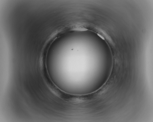 X0000115770250200911201224
