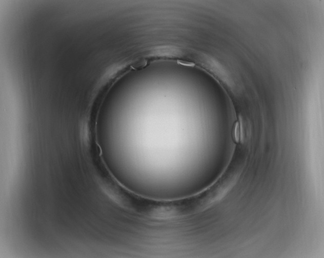X0000115770252200911201224