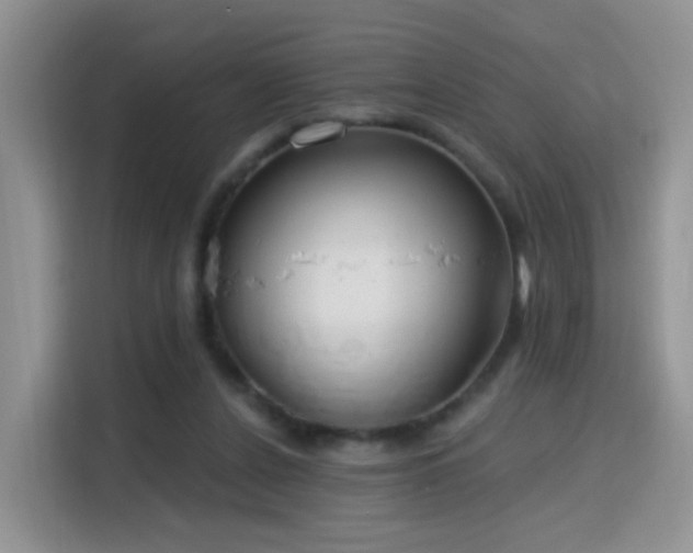 X0000115770256200911201224