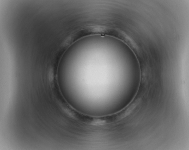 X0000115770257200911201224