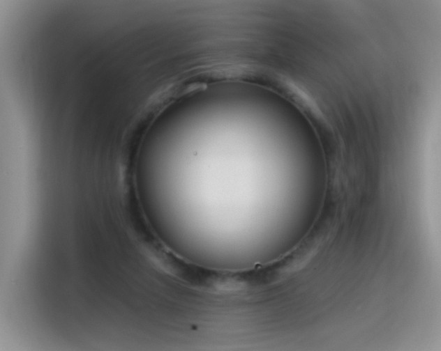 X0000115770258200911201224