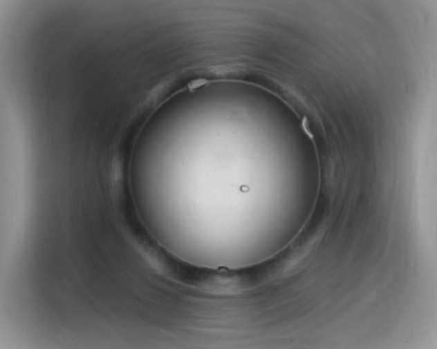 X0000115770260200911201224