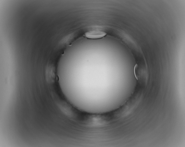 X0000115770264200911201224