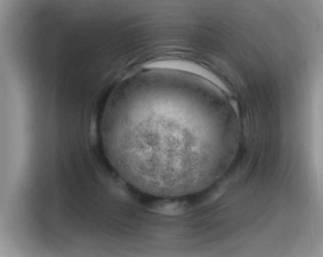 X0000115770267200911201224