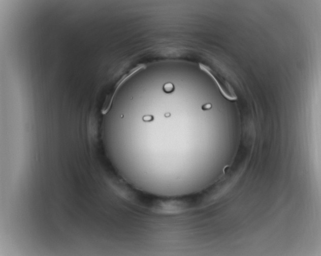 X0000115770268200911201224