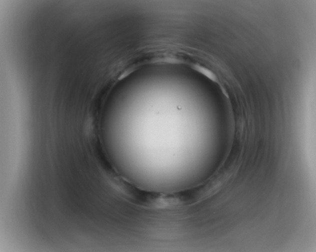X0000115770270200911201224