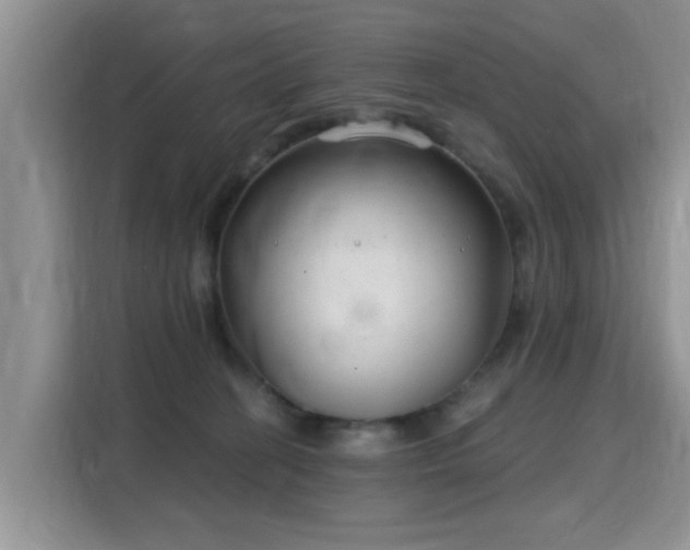 X0000115770274200911201224