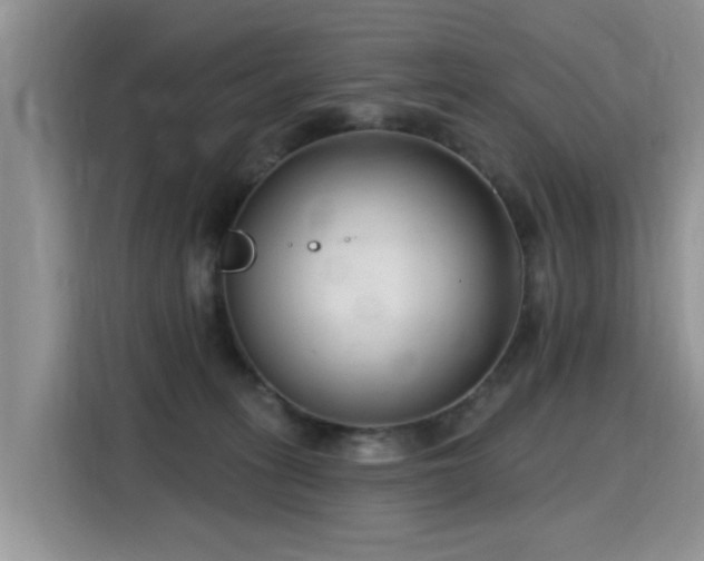 X0000115770275200911201224