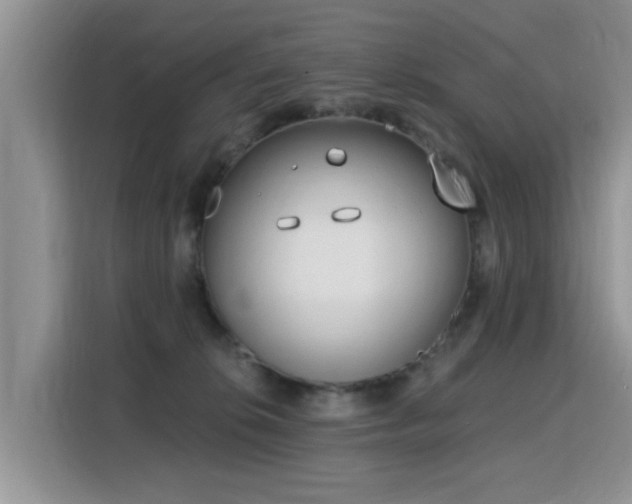 X0000115770276200911201224