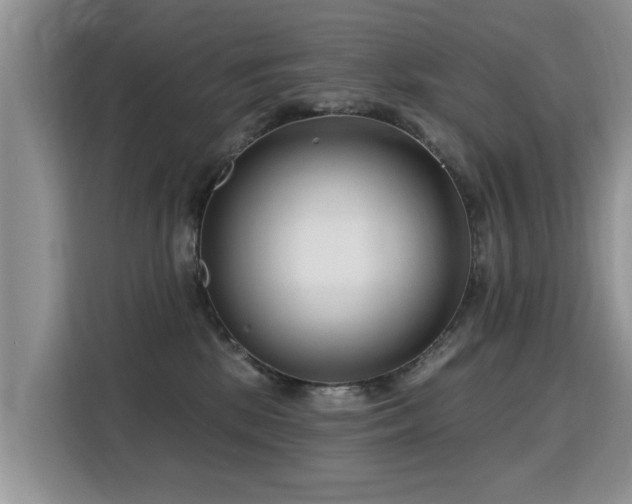 X0000115770281200911201224