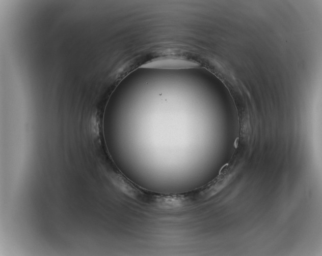 X0000115770282200911201224