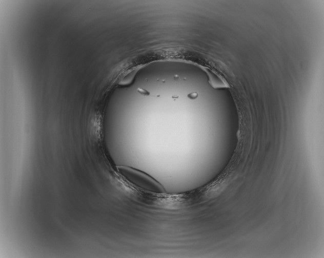 X0000115770288200911201225