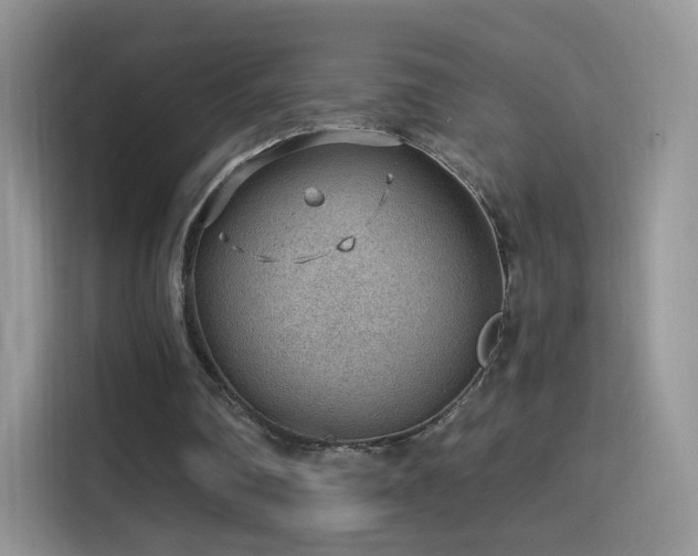 X0000115770290200911201224