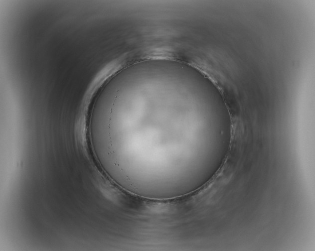 X0000115770293200911201224