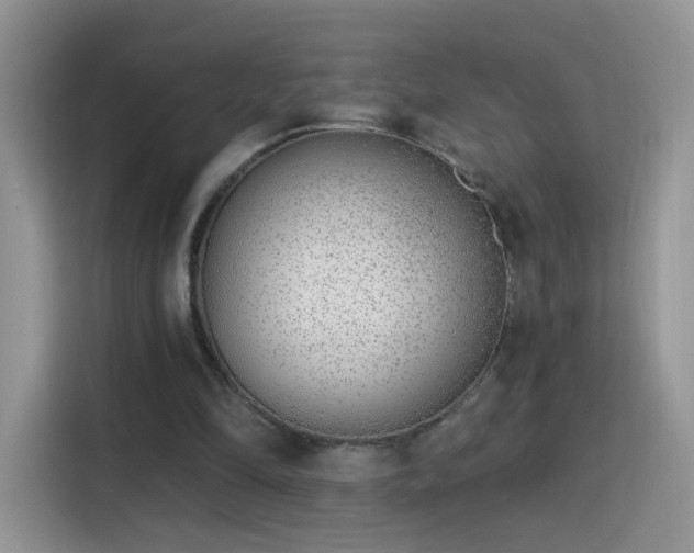 X0000115770294200911201224
