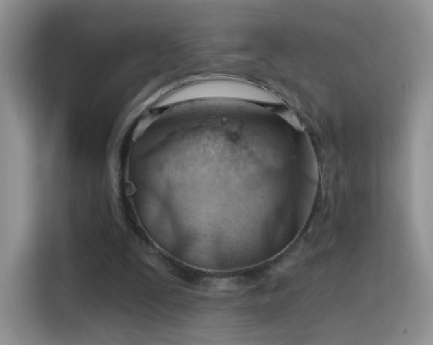 X0000115770295200911201224