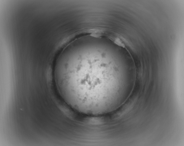X0000115770303200911201224