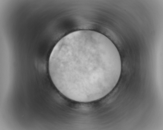X0000115770305200911201224