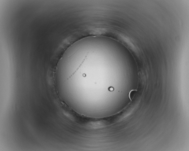 X0000115770307200911201224