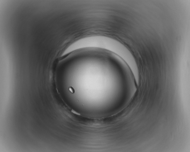 X0000115770308200911201224