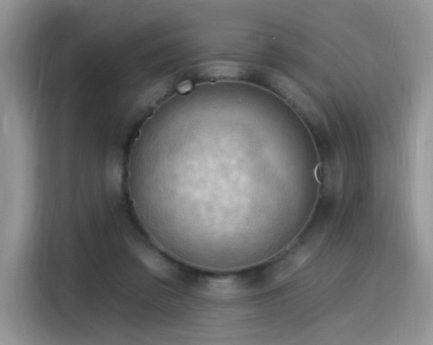 X0000115770309200911201224
