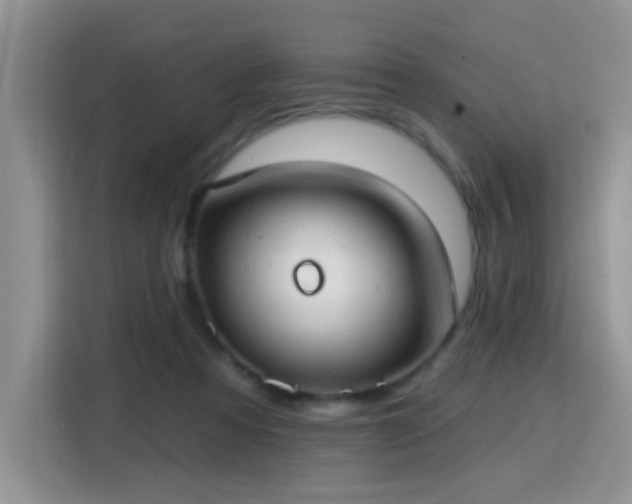 X0000115770313200911201224