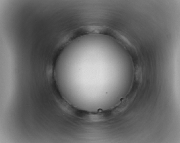 X0000115770314200911201224